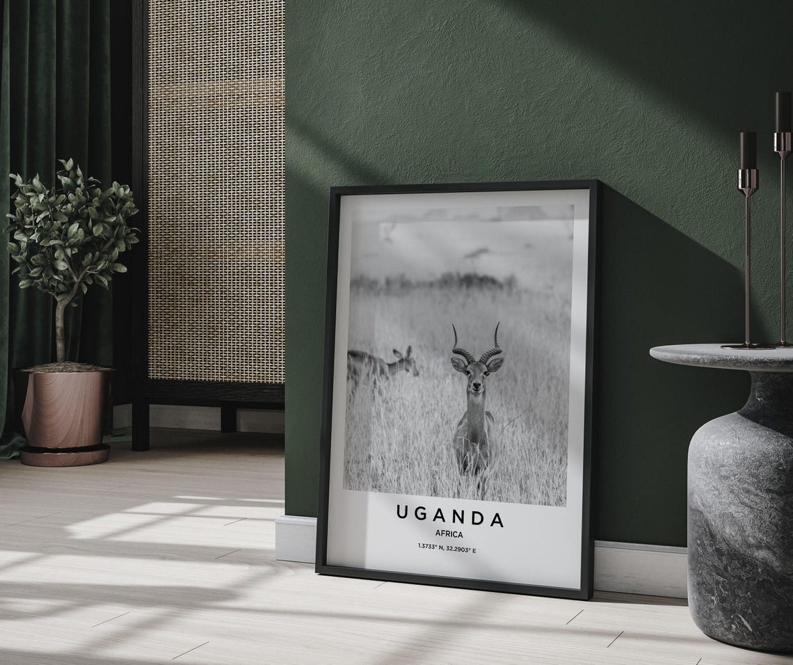 Uganda Africa Wild Antelope in Tall Grass Black and White Poster - Image 2