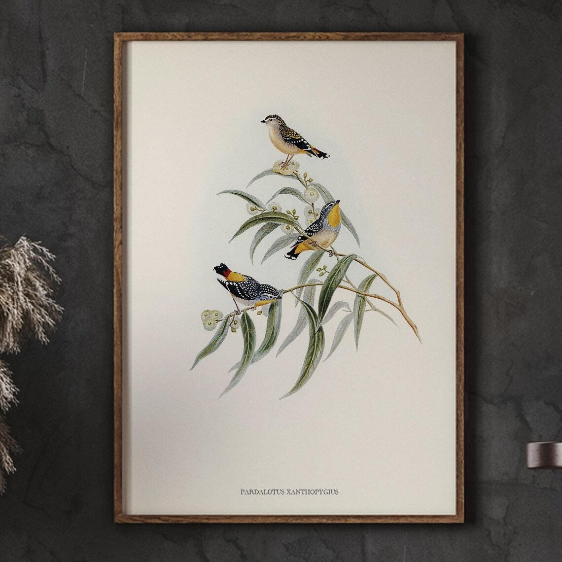 Antique Bird Spring Wall Decor Art Print