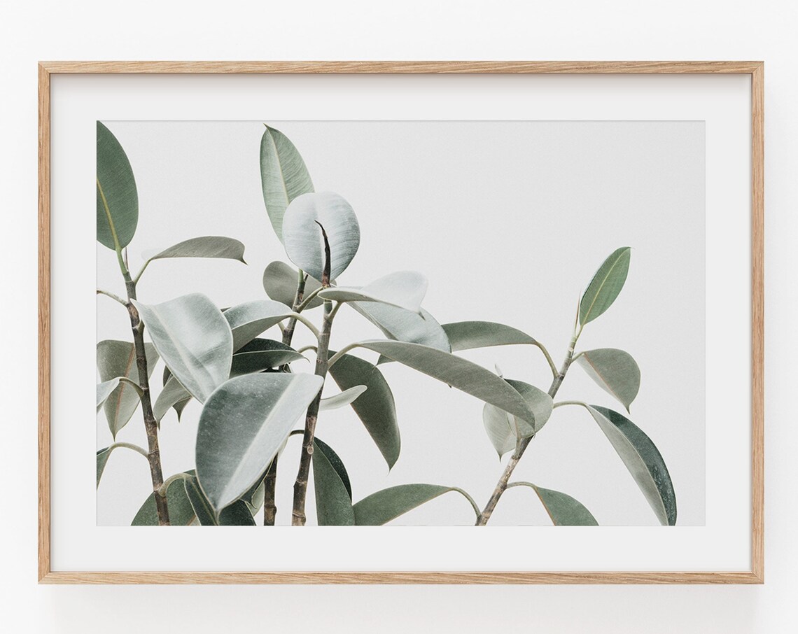 Eucalyptus Botanical Farmhouse Art Print - Image 4