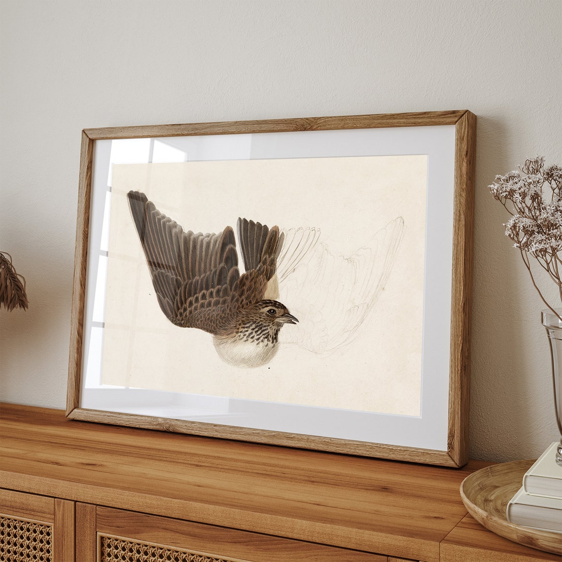Antique Songbird In Flight Study Vintage Bird Illustration Art Poster - Image 3