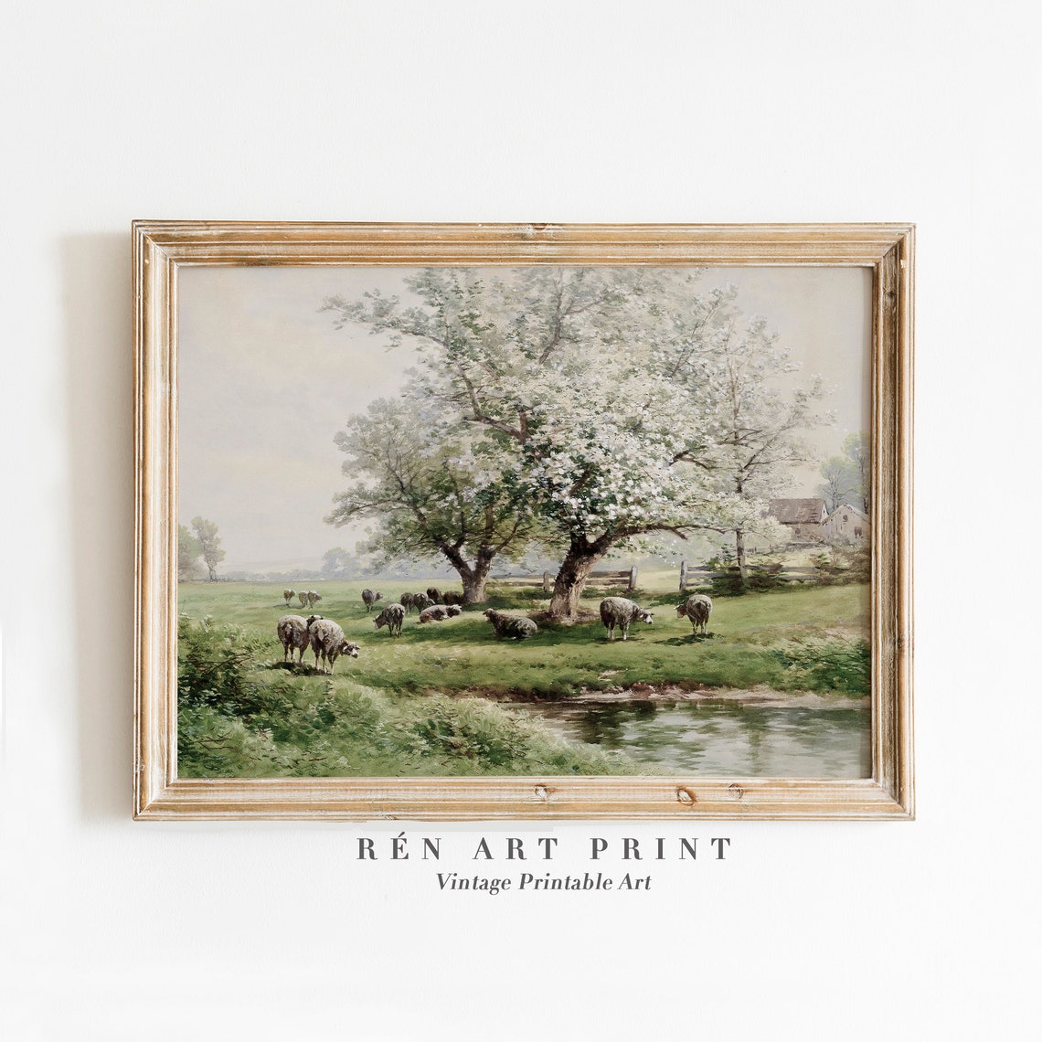 Sheep Grazing in Green Meadow Under Blossoming Tree Spring Poster