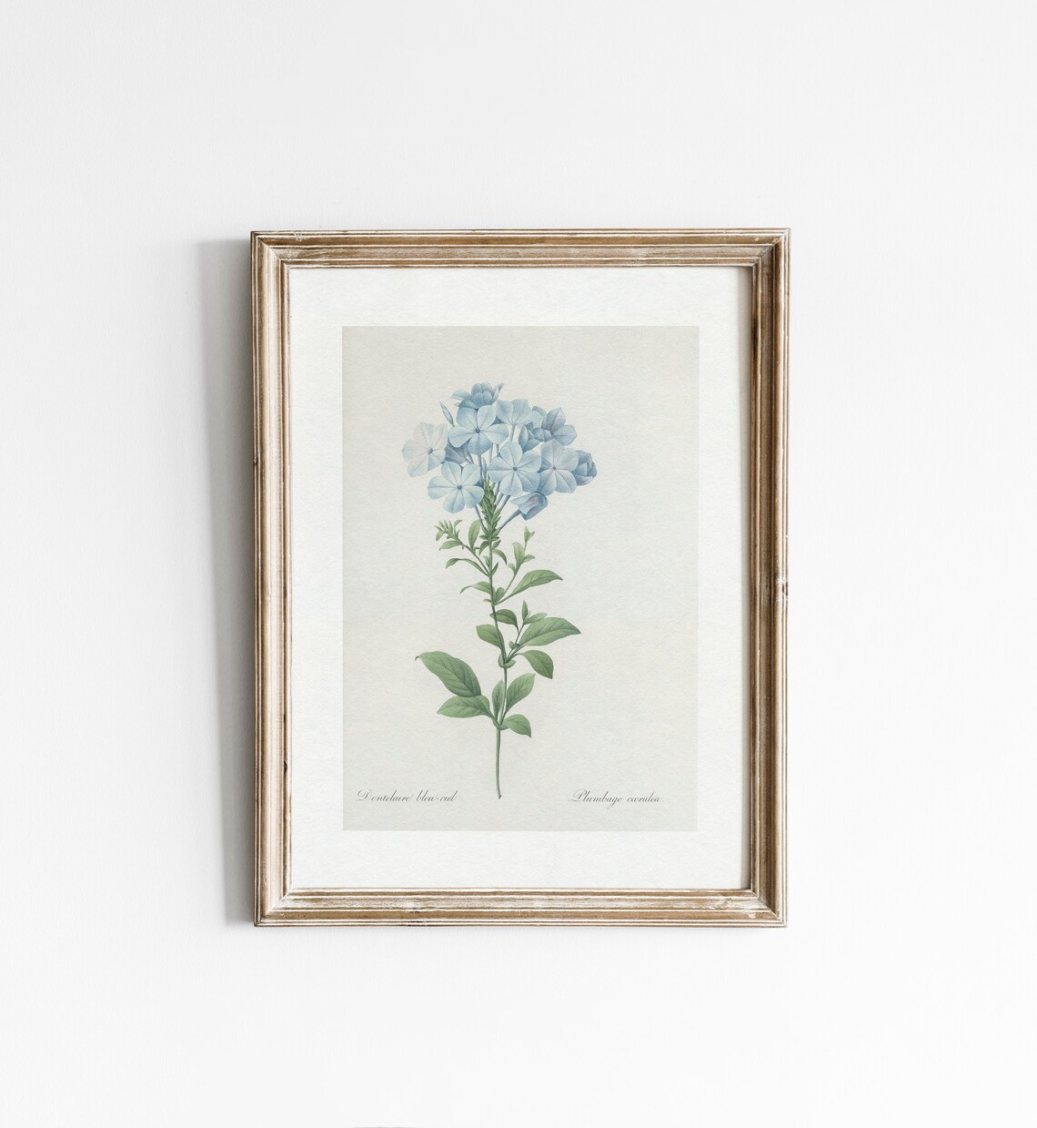 Vintage Blue Floral Botanical Art Print, Neutral Cream - Image 5