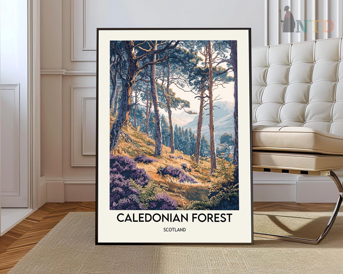 Caledonian Forest Scotland Pine Heather Mountain Travel Poster