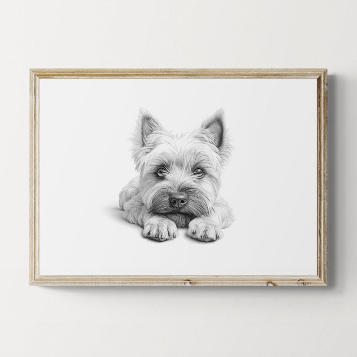 Cairn Terrier Puppy Pencil Sketch Adorable Cute Little Dog Print