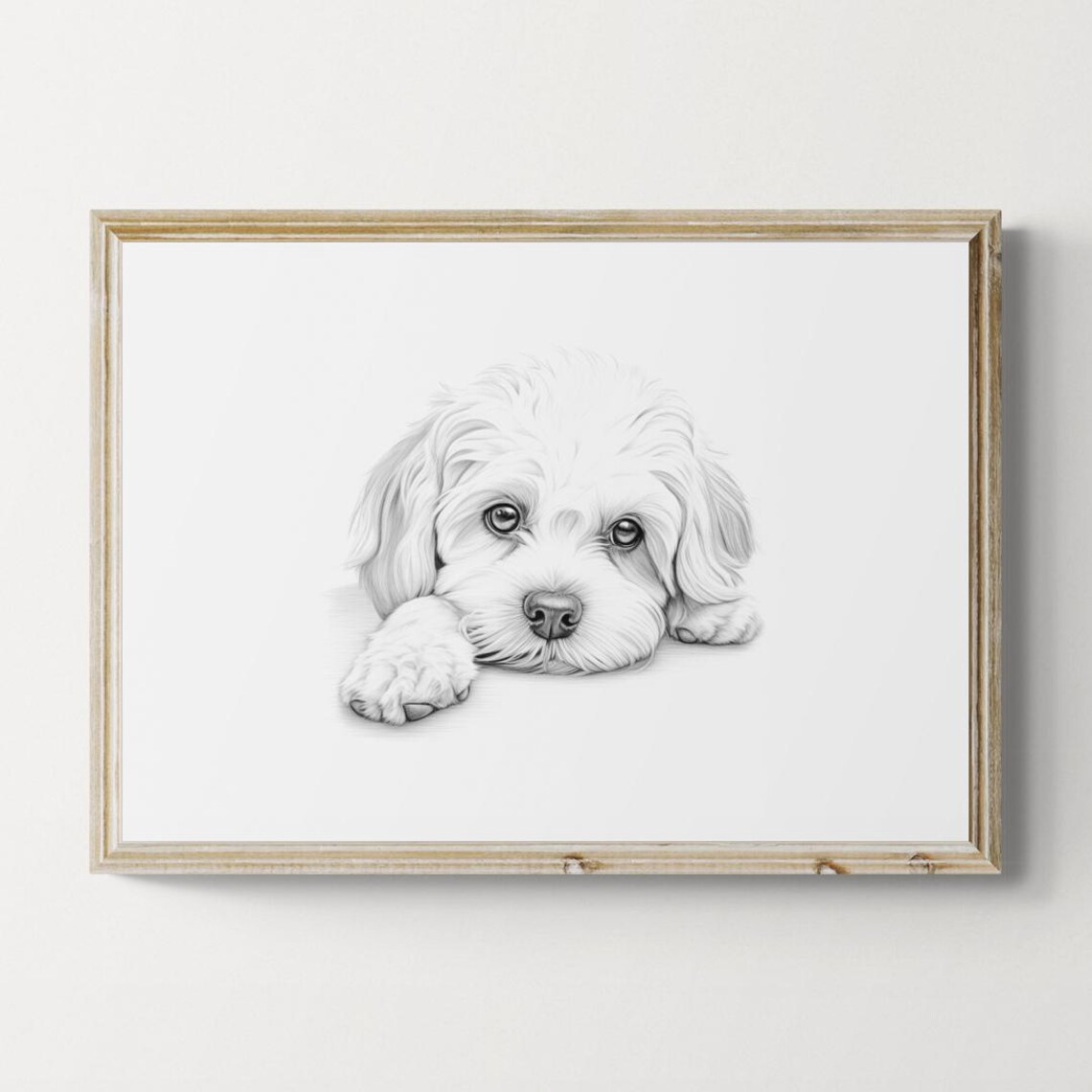 Maltese Dog White Fluffy Puppy Sketch Lying Down Vintage Dog Poster