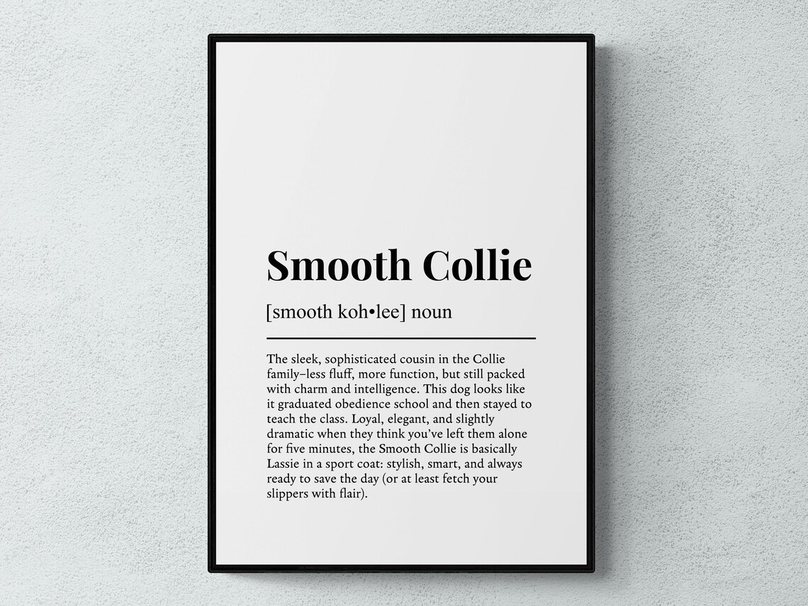 Smooth Collie Funny Definition Dog Art Print