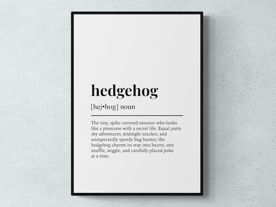 Hedgehog Funny Definition Gift Wall Art Print