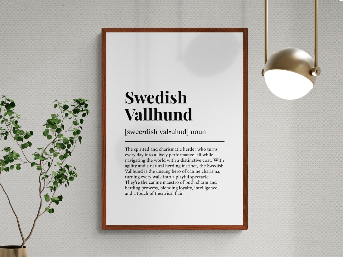 Swedish Vallhund Funny Definition Dictionary Style Black White Poster - Image 3