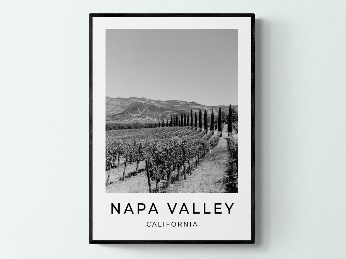 Napa Valley California Vineyard Monochrome Black White Poster