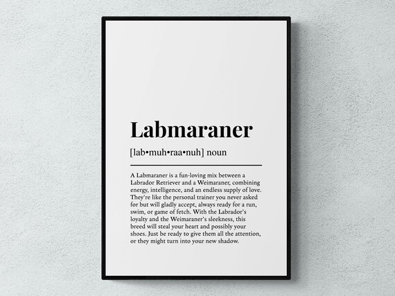 Labmaraner Funny Definition Dog Wall Art Print