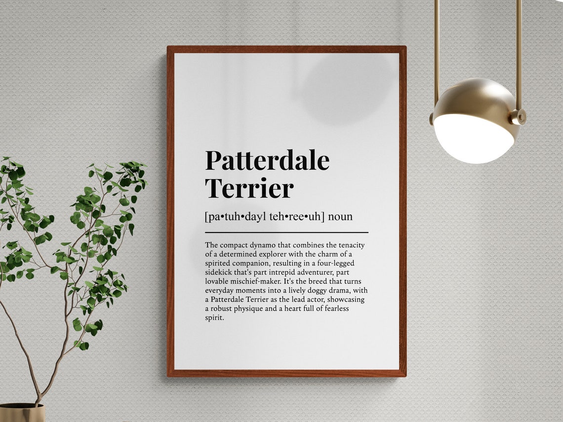 Patterdale Terrier Dog Funny Dictionary Definition Humor Poster - Image 3