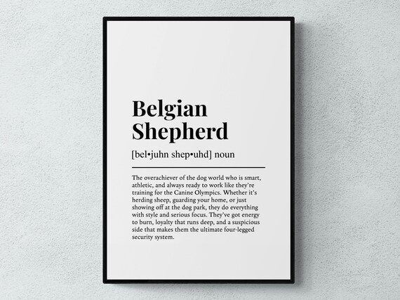 Belgian Shepherd Funny Definition Dog Wall Art Print