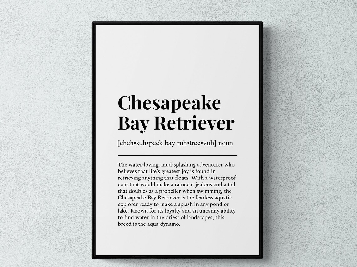 Chesapeake Bay Retriever Funny Definition Art Print