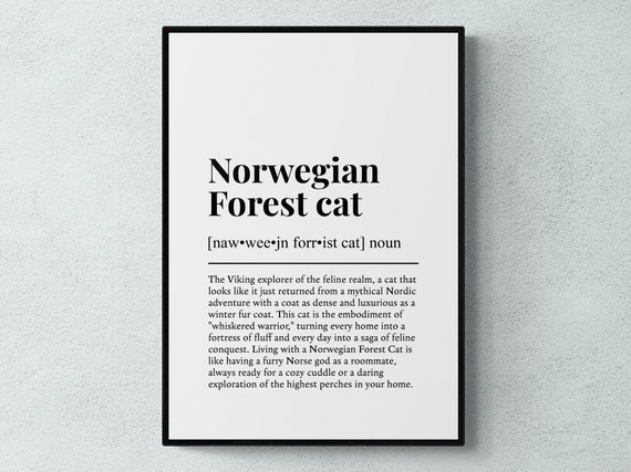 Norwegian Forest Cat Funny Definition Art Print
