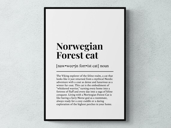 Norwegian Forest Cat Funny Dictionary Definition Minimalist Wall Art Print
