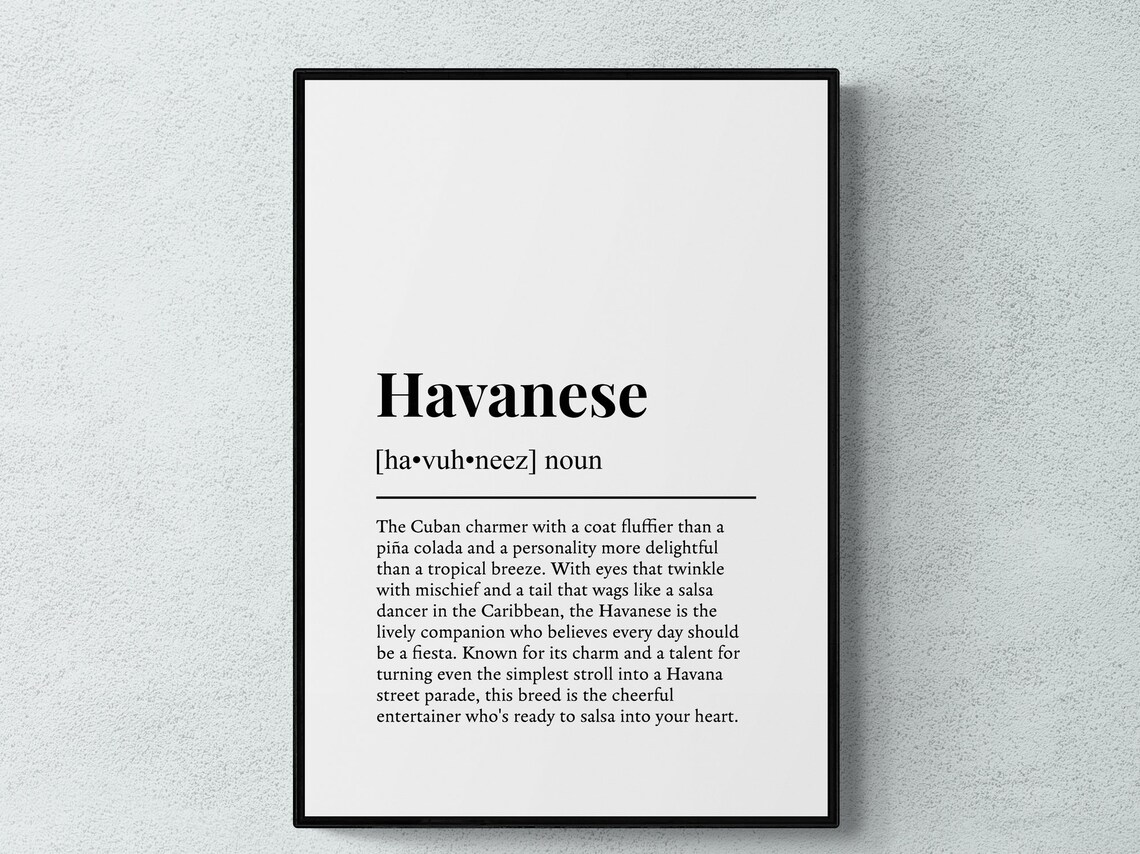 Havanese Funny Definition Dog Wall Art Poster