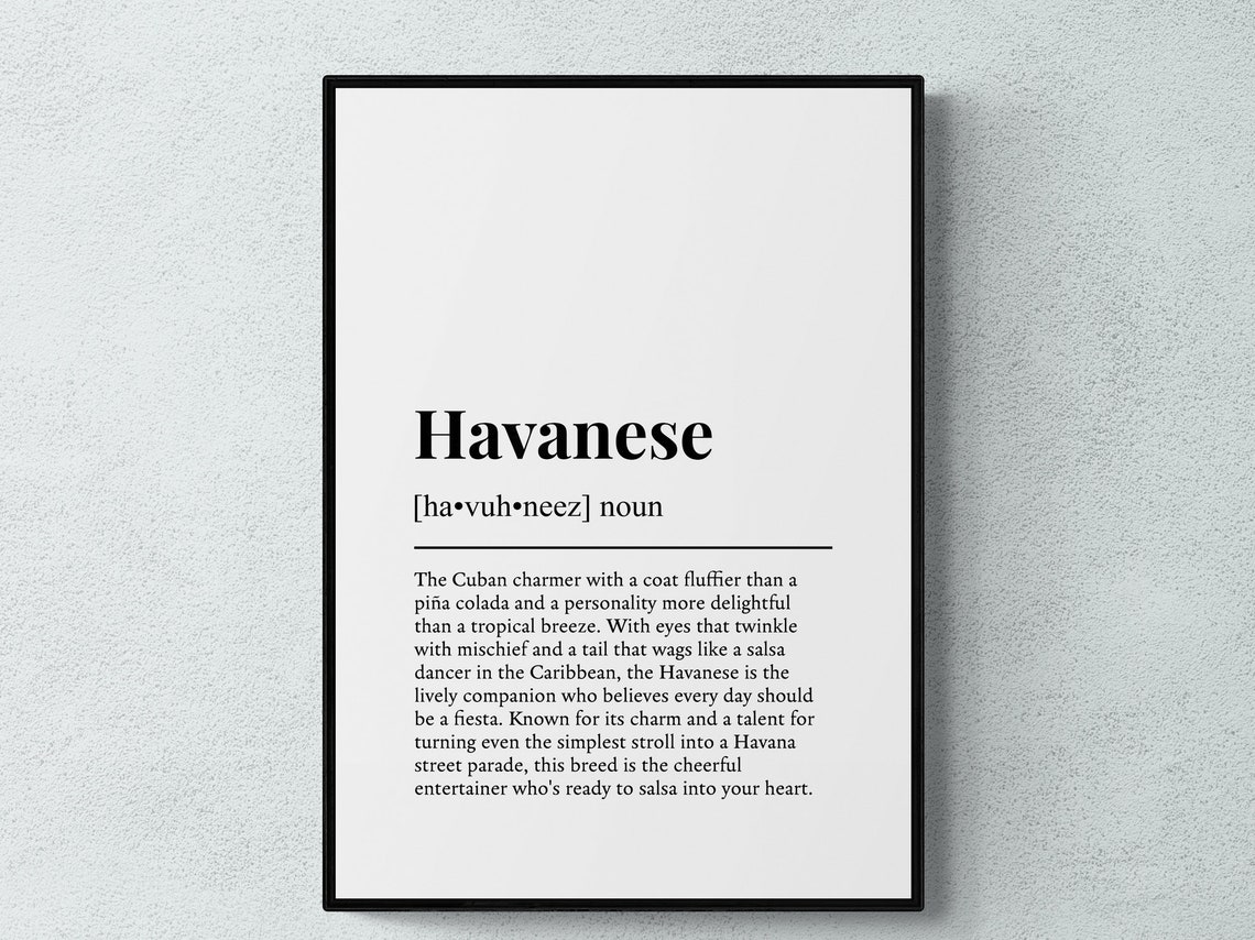Havanese Funny Dictionary Definition Cheerful Dog Breed Gift Poster