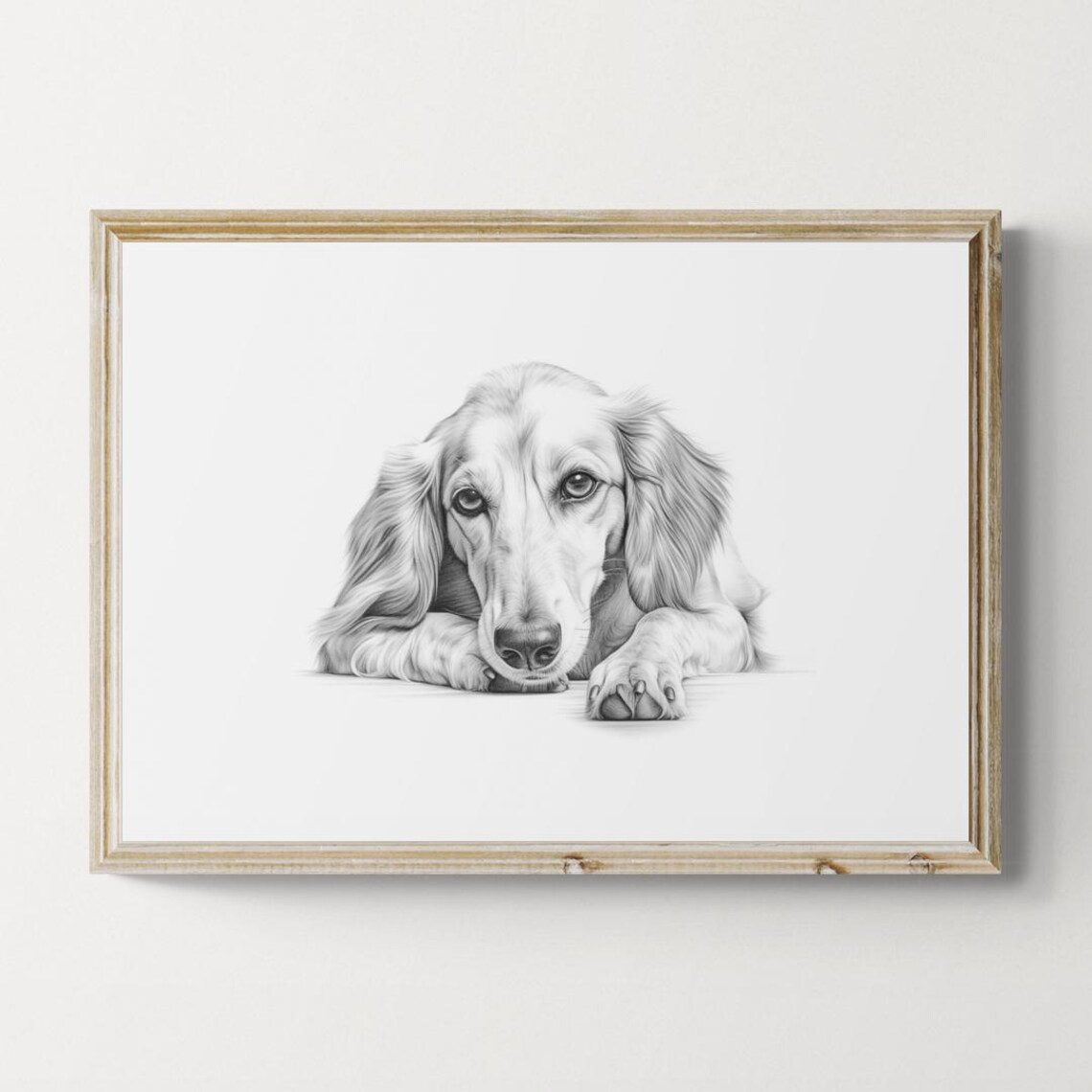 Saluki Elegant Hound Puppy Pencil Sketch Adorable Vintage Dog Print