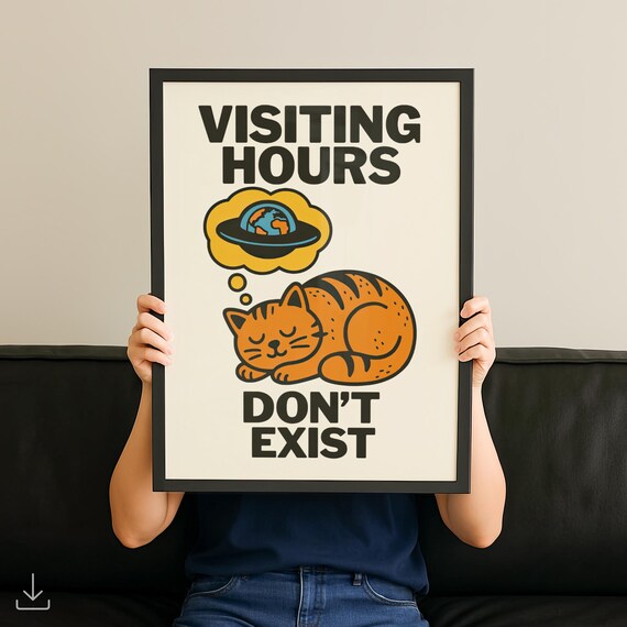 Visiting Hours Do Not Exist Sleeping Cat UFO Funny Decorative Poster