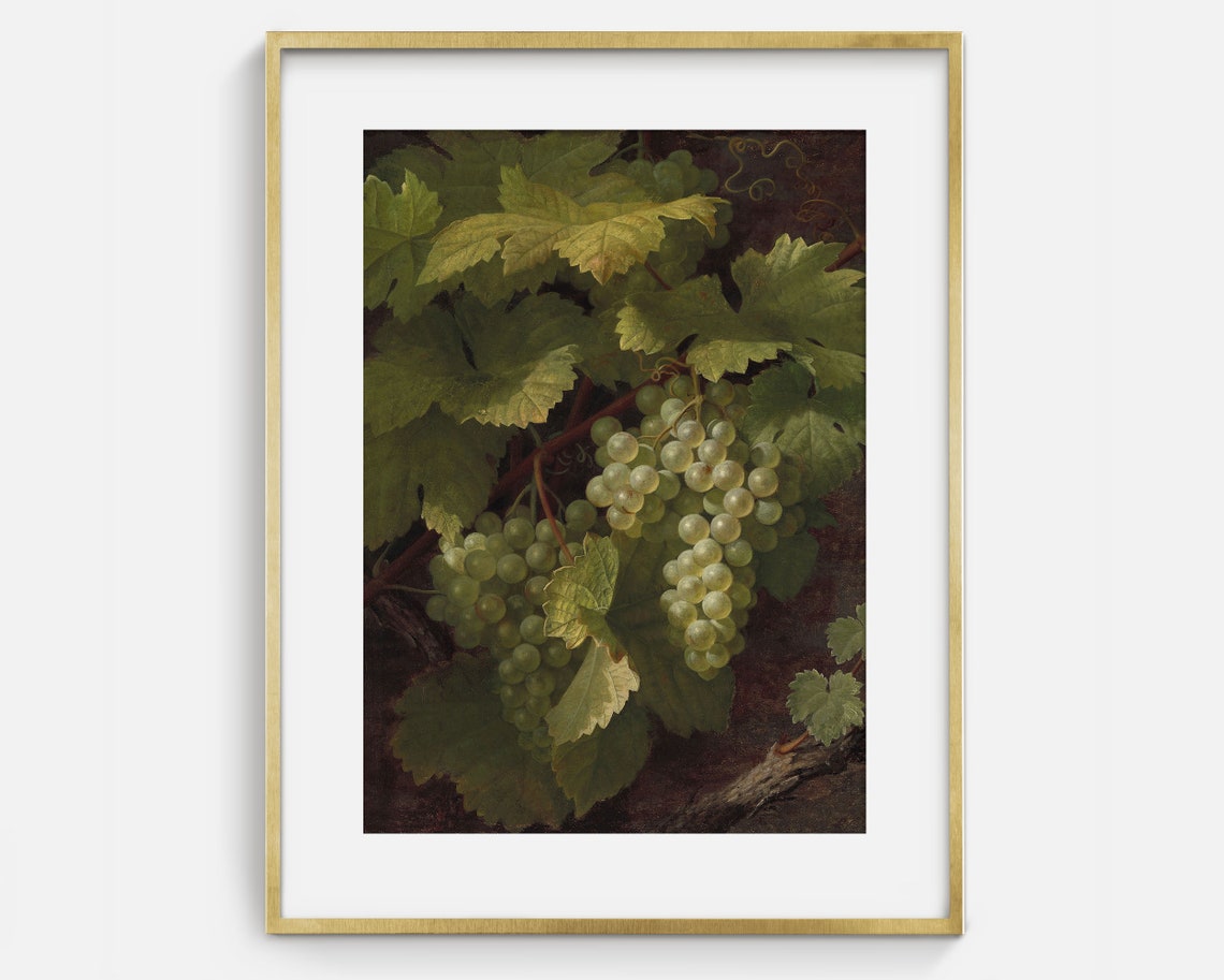 Green Grapes On Vine Dark Background Fruit Still Life Art Poster - Image 2