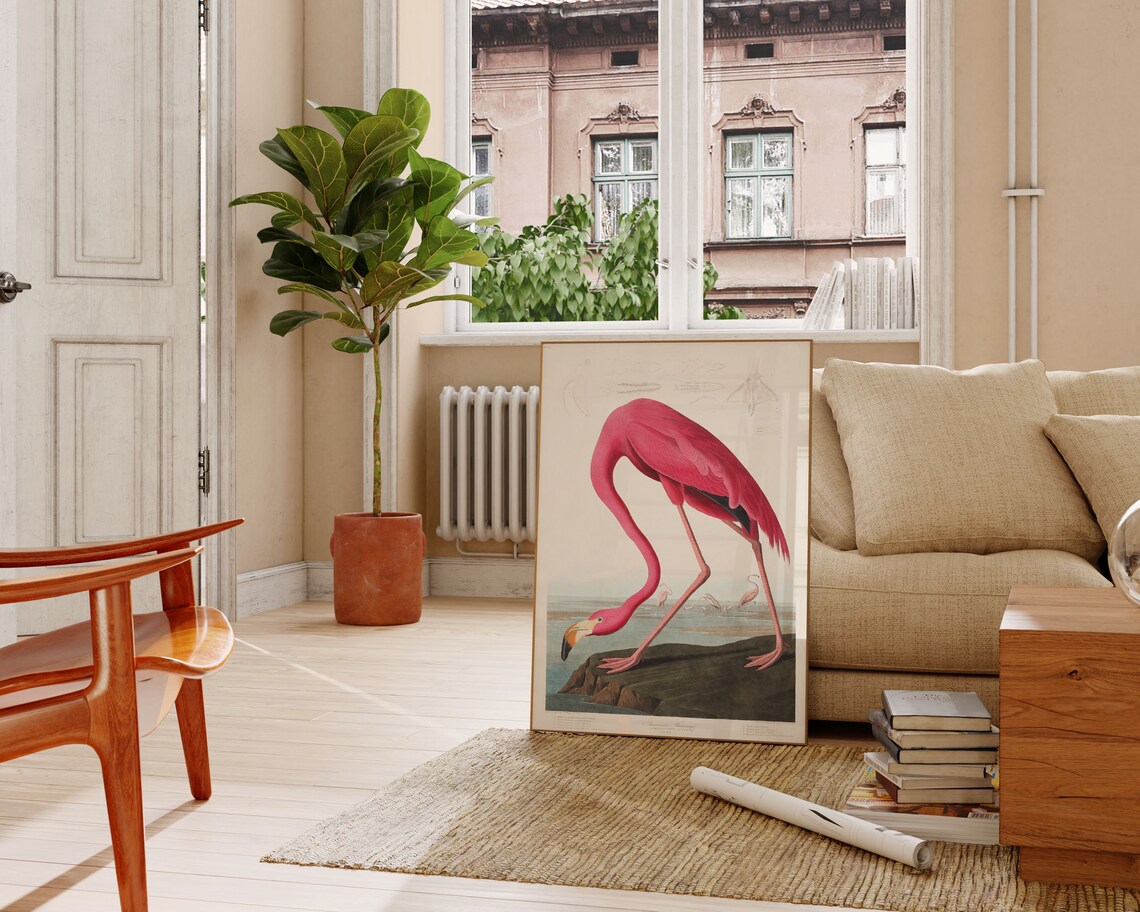 American Flamingo Vintage Ornithology Plate Bird Illustration Poster - Image 2