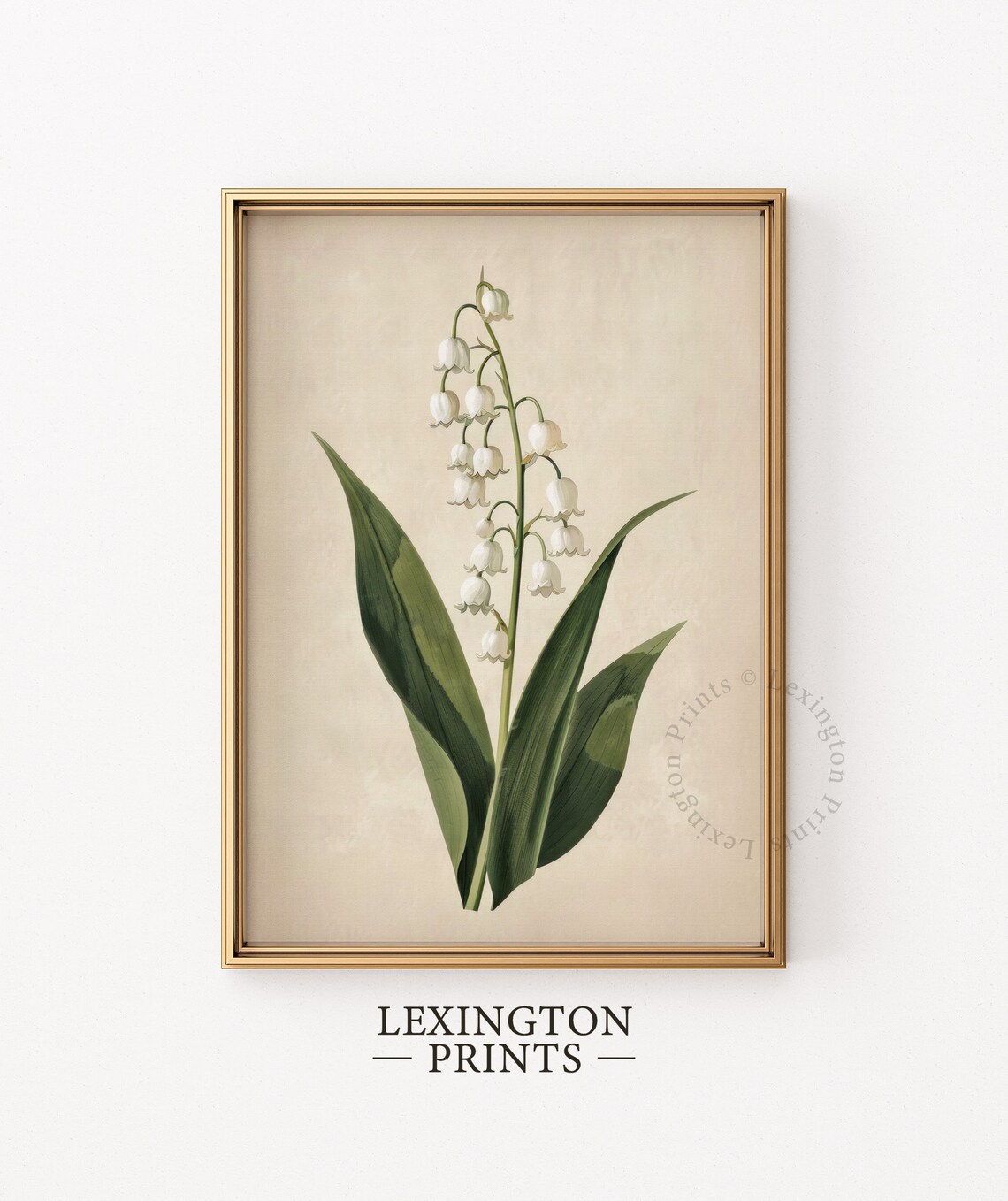 Lily Of The Valley Botanical White Flower Vintage Print Farmhouse - Image 5
