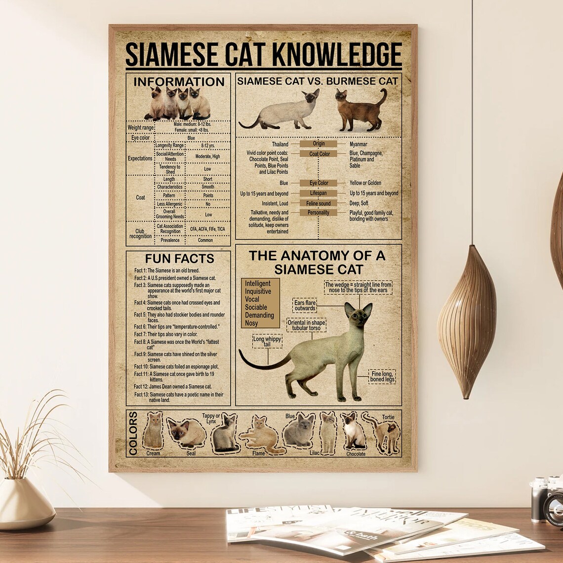 Siamese Cat Lover Gift, Cat Knowledge Art - Image 3