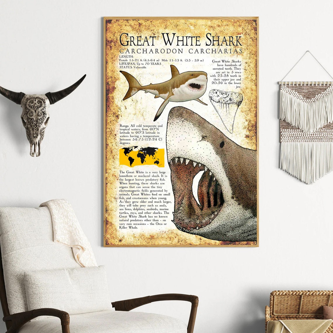 Great White Shark Carcharodon Carcharias Vintage Ocean Poster - Image 3