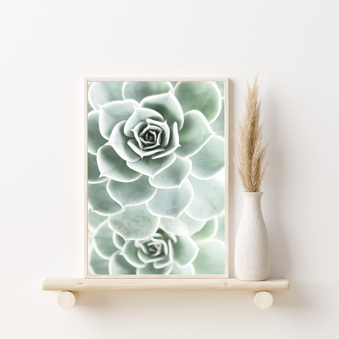Succulent Botanical Wall Art Print
