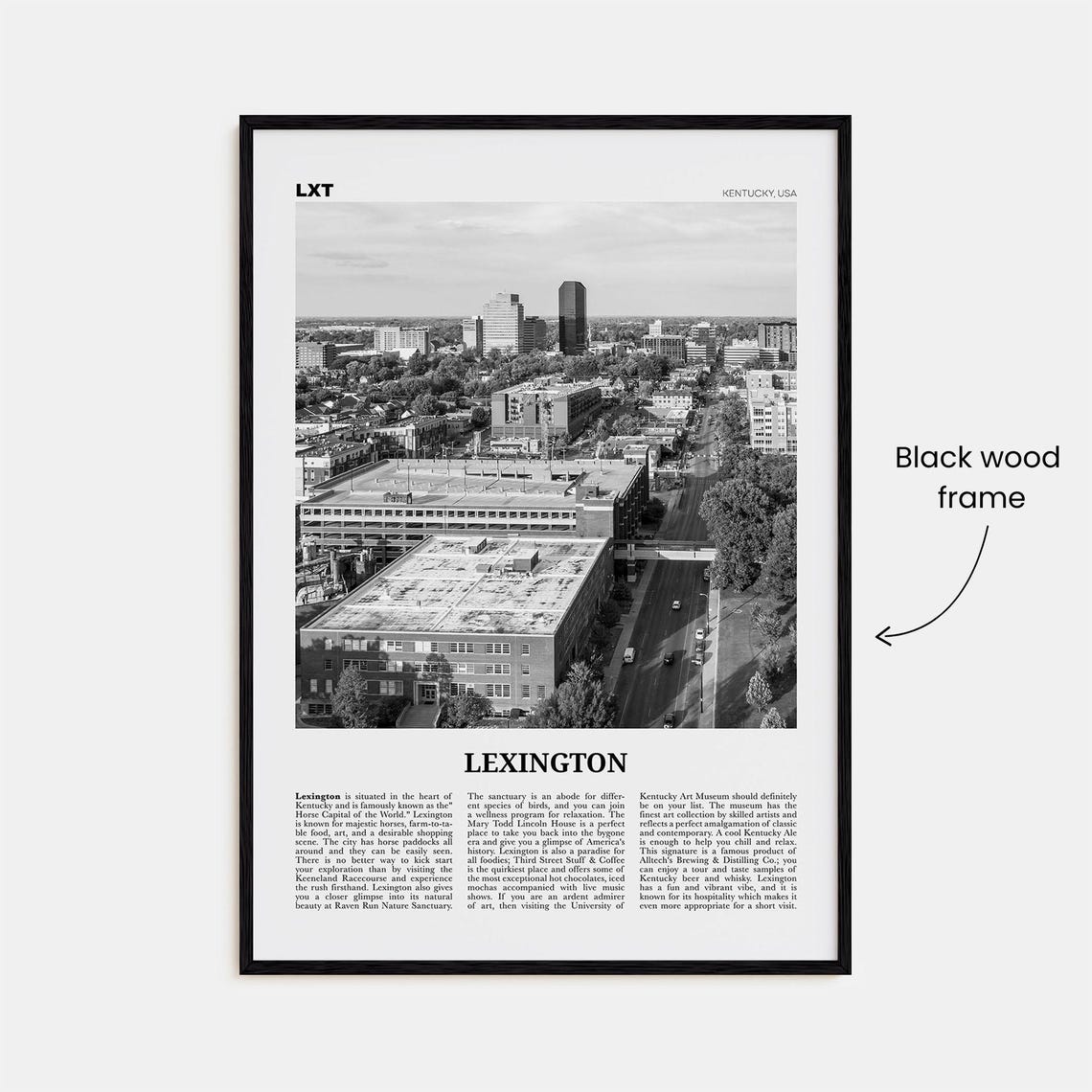 Lexington, Kentucky Black and White Travel Poster - Image 3