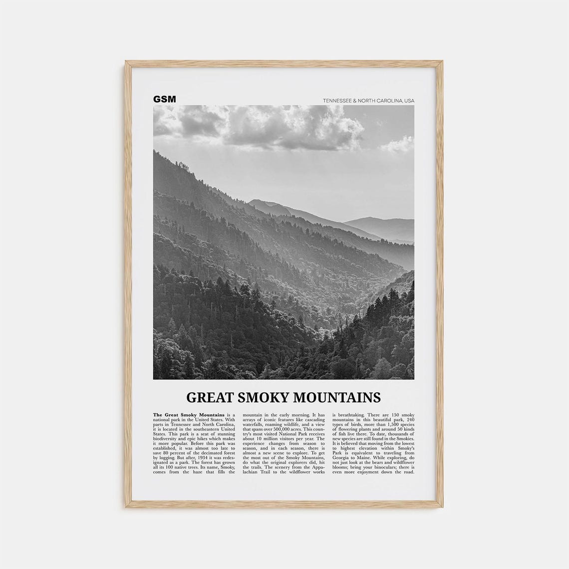 Great Smoky Mountains National Park Black-White Travel Poster