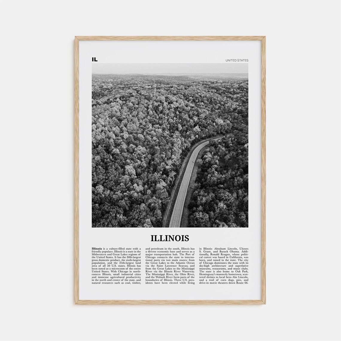 Illinois No. 2 Black and White Map Art Poster