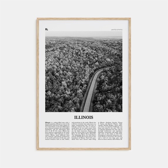 Illinois No. 2 Black and White Map Art Poster