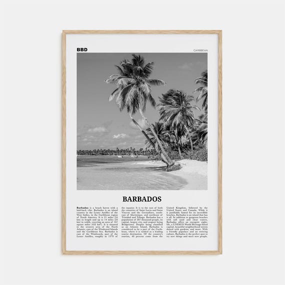 Barbados Black And White Travel Poster, No. 1