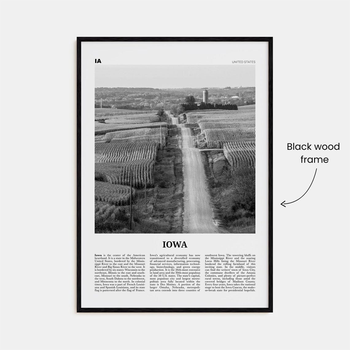 Iowa Black and White No. 1 Wall Map Art Print - Image 3