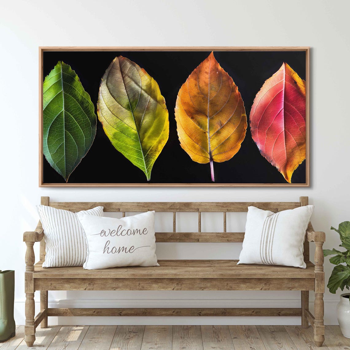 Four Fall Leaves Green To Red Color Progression Black Photo Poster