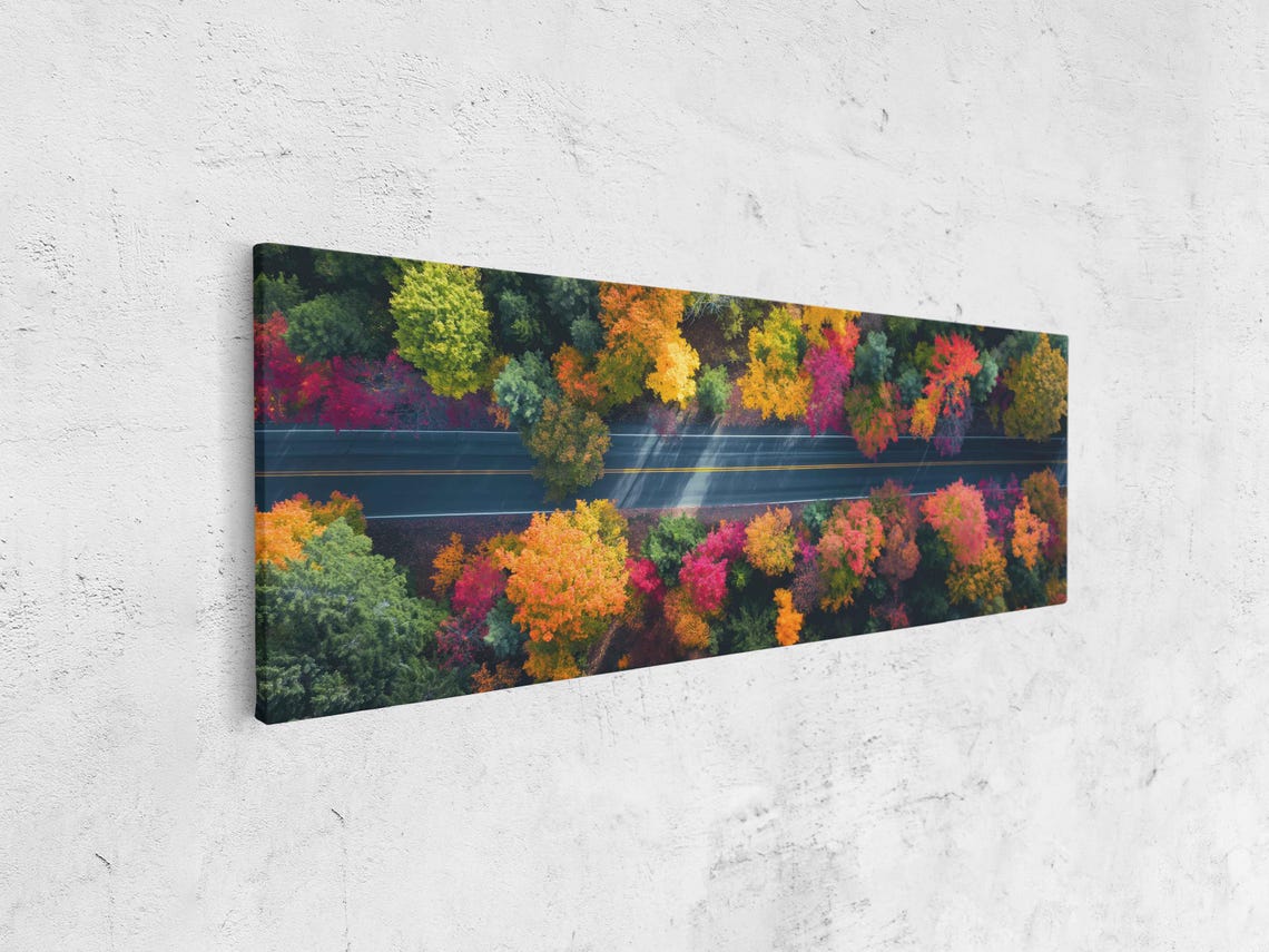 Aerial View Road Through Autumn Forest Canopy Fall Colors Poster - Image 4