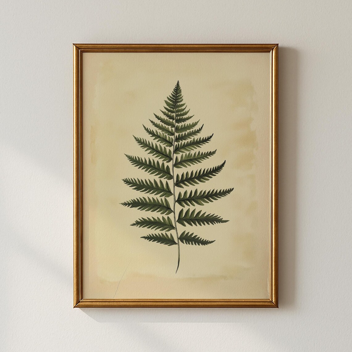 Vintage Fern Botanical Sketch Detailed Green Frond Art Print