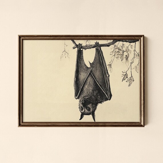 Halloween Bats Print Holiday Wall Art Decor Collected Prints Cpl665