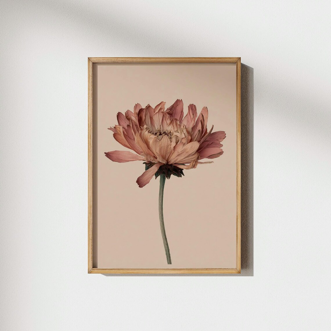 Mauve Dahlia Dusty Rose Flower Neutral Vintage Botanical Poster