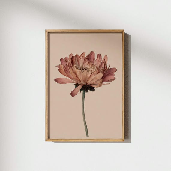 Mauve Dahlia Botanical Wall Art Vintage Floral Dusty Rose Flower Print Neutral Home Decor Prints