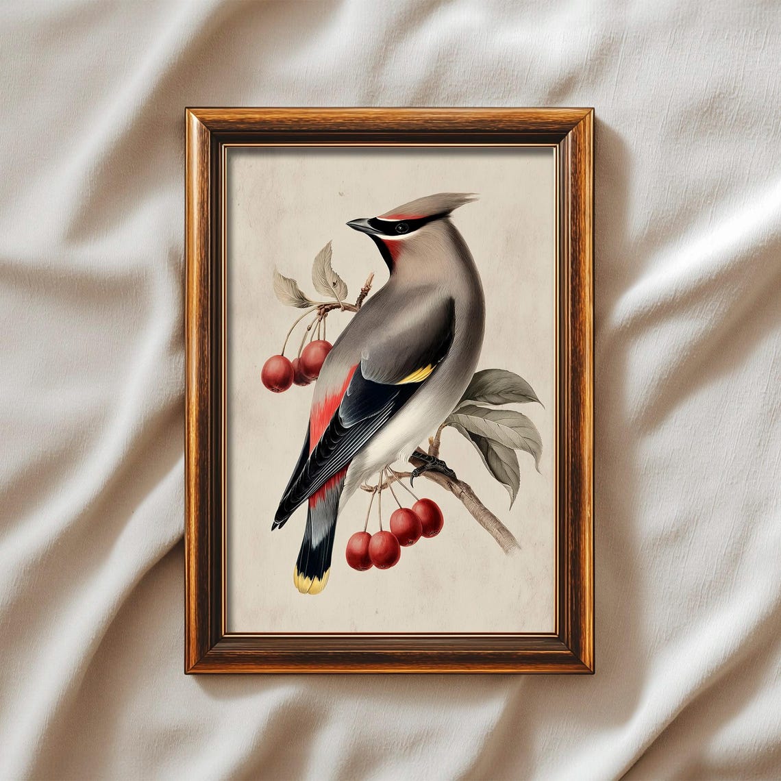 Cedar Waxwing Bird With Red Berries Vintage Natural History Art Print