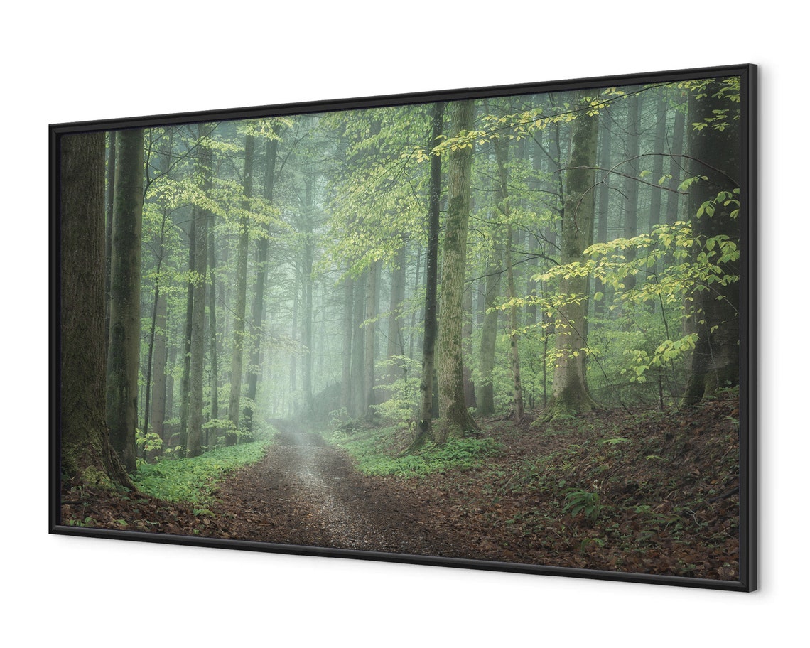 Misty Spring Forest Path Tall Trees Foggy Trail Nature Poster - Image 4