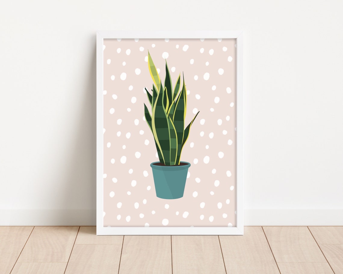 Snake Plant Teal Pot Blush Polka Dot Modern Houseplant Art Poster