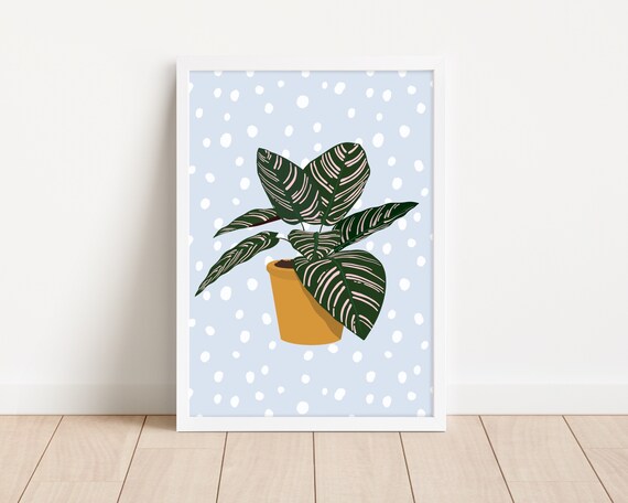 Pinstripe House Plant Wall Art Print Calathea Ornata Botanical Wall Art Dalmatian Spot Print House Plant Gift Cute Indoor Plant