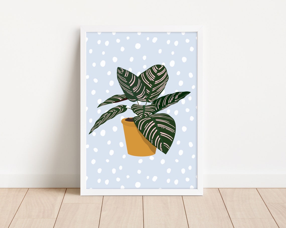 Pinstripe Calathea Ornata Mustard Pot Blue Polka Dot Plant Art Poster