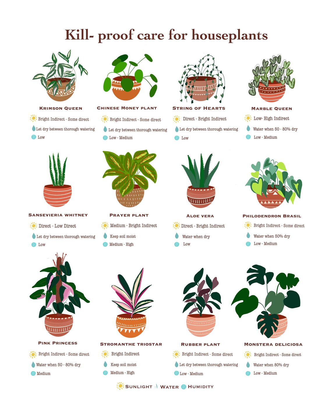 Houseplant Care Guide, Beginner Plant Chart Art Print - Image 3