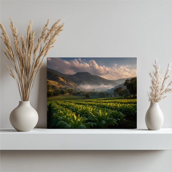 Lush Green Farm Canvas Wall Art Tobacco Field Mountain Landscape Farmhouse Decor Plantation Valley Print Morning Mist Nature Poster