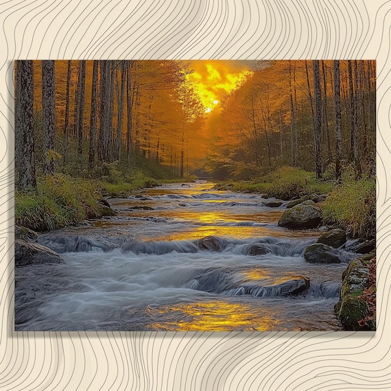 Tennessee Forest Stream at Golden Sunset with Autumn Glow Poster