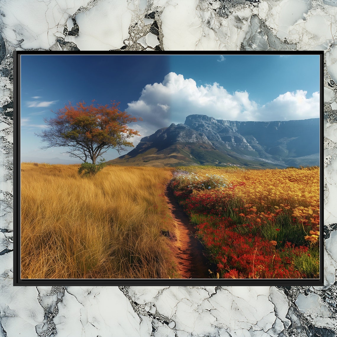 South Africa Table Mountain Wildflower Meadow Landscape Canvas Poster